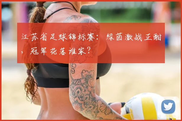 江苏省足球锦标赛：绿茵激战正酣，冠军花落谁家？