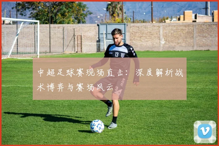 中超足球赛现场直击:深度解析战术博弈与赛场风云