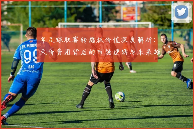年足球联赛转播权价值深度解析：天价费用背后的市场逻辑与未来趋势